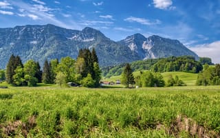 Картинка Германия, Chiemgau, Upper, Горы, Bavaria, Природа, траве, Пейзаж, гора, Трава