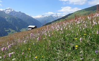 Картинка Швейцария, Grisons, Природа, Трава, Горы, Луга, гора, траве