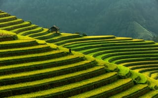 Картинка Вьетнам, Mu, Природа, Cang, гора, Поля, Chai, rice, terraces, Горы