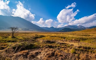 Картинка Gangteng, Valley, Bhutan, гора, траве, Небо, Трава, Луга, облако, Горы, Долина, облачно, Природа, Облака