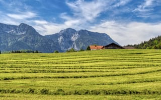 Картинка Бавария, Германия, Горы, Природа, Chiemgau, Inzell, Поля, гора