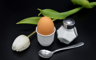 Обои Яйца, Тюльпаны, Продукты, Еда, питания, яйцо, Соль, солью, ложки, Пища, яиц, Ложка, яйцами, тюльпан, соли