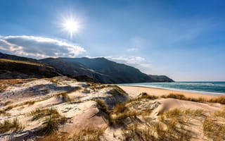 Картинка Ирландия, Ardara, Donegal, берег, Солнце, Побережье, Песок, песке, солнца, песка, Природа