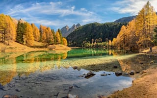 Картинка Швейцария, Lake, дерева, Palpuogna, Горы, гора, дерево, Осень, осенние, Озеро, деревьев, Природа, Деревья