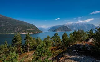 Обои Норвегия, Hardangerfjorden, дерева, дерево, Горы, гора, деревьев, Природа, Деревья