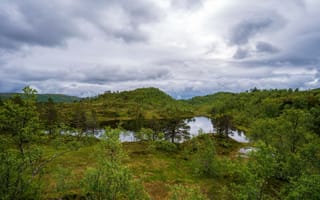 Картинка Норвегия, Sjunkhatten, National, парк, дерево, облако, дерева, Деревья, Облака, Park, Парки, облачно, деревьев, Природа