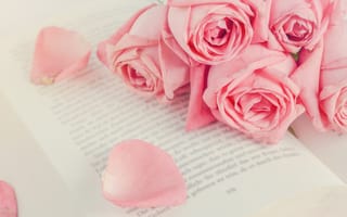Картинка роза, розовых, цветок, Розы, книги, розовые, Цветы, Розовый, Книга, розовая