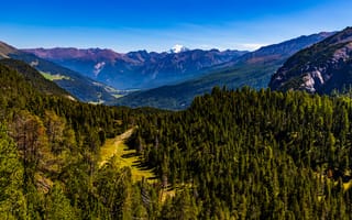 Картинка альп, Швейцария, Леса, гора, Graubünden, лес, Горы, Альпы, Природа