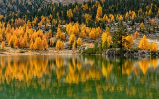 Картинка Италия, South, Осень, Природа, Деревья, деревьев, отражении, Отражение, Озеро, Tyrol, осенние, дерева, дерево, отражается