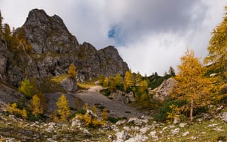 Картинка альп, Словения, Альпы, Alps, Осень, Деревья, деревьев, Скала, осенние, дерево, скале, Утес, дерева, Природа, Julian, скалы