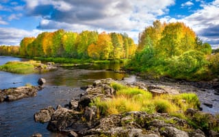 Картинка Финляндия, Осень, река, Природа, деревьев, речка, осенние, Камни, дерево, Реки, дерева, Деревья, Камень