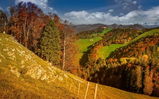 Картинка Швейцария, Aedermannsdorf, Solothurn, лес, Природа, гора, Горы, Леса, Луга, Осень, осенние