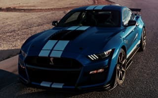 Картинка Форд, Shelby, полосатая, синяя, Полоски, 2019, синие, Ford, Автомобили, Синий, авто, машина, GT500, синих, полосатый, автомобиль, машины