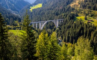 Картинка Альпы, Швейцария, альп, деревьев, Мосты, Деревья, Graubünden, дерева, дерево, Природа, Горы, гора, мост