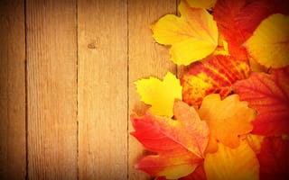 Картинка лист, Осень, Доски, осенние, Листья, Листва, Природа