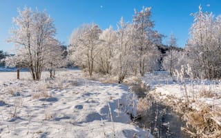Картинка Германия, Rheinland-Pfalz, дерева, снеге, Деревья, снега, Снег, деревьев, снегу, Природа, Реки, речка, дерево, река, зимние, Зима