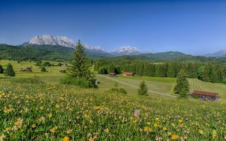 Картинка Бавария, Альпы, альп, Германия, гора, Луга, Горы, Пейзаж, Природа, Лето