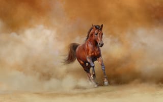 Картинка Лошади, Бег, животное, лошадь, бежит, бегущая, бегущий, пыль, Животные