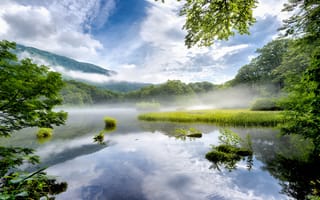 Картинка Япония, Nara, Prefecture, тумане, Озеро, тумана, Туман, Природа