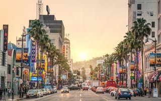 Картинка Калифорния, Лос-Анджелес, США, закат, Street, закаты, Рассветы, пальма, штаты, Дороги, пальм, город, Пальмы, Города, калифорнии, америка, фонари, Sunset, Уличные, рассвет