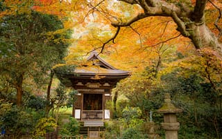 Картинка Киото, Япония, Осень, деревьев, Природа, Парки, дерева, дерево, Деревья, осенние, парк, Пагоды