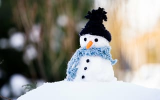 Обои шарфе, Размытый, шапка, морковка, шапке, Шарф, Шапки, боке, Снеговики, снеговик, Морковь, шарфом, снеговика