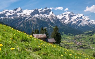 Картинка Швейцария, Bernese, Alps, Горы, траве, гора, Луга, Природа, Трава