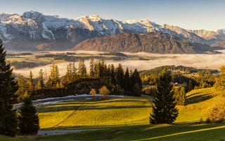 Картинка Альпы, Австрия, Туман, тумане, ели, альп, гора, Природа, Луга, тумана, Горы, Ель