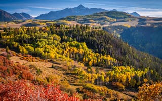 Картинка США, Colorado, гора, Деревья, деревьев, дерево, Осень, Пейзаж, дерева, Горы, осенние, америка, Природа, штаты
