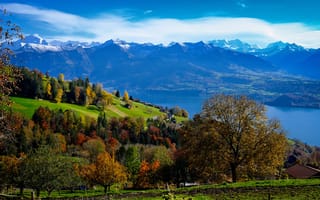 Картинка Швейцария, Bernese, Горы, дерево, деревьев, дерева, гора, Озеро, Природа, Oberland, Деревья