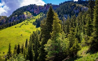 Картинка Naryn, Kyrgyzstan, Горы, скале, Природа, деревьев, Скала, гора, Деревья, дерево, Утес, дерева, скалы