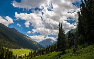 Картинка Altyn, Arashan, Kyrgyzstan, Природа, дерева, дерево, облако, Облака, Деревья, Горы, деревьев, облачно, гора