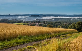 Картинка Германия, Saxony, тумана, Утро, Поля, Природа, тумане, Туман