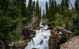 Картинка Kara-Kamysh, Kyrgyzstan, скалы, Деревья, Утес, Водопады, дерево, Скала, Реки, река, Природа, речка, дерева, деревьев, скале