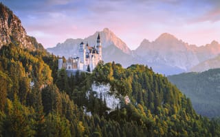 Обои Бавария, Нойшванштайн, замок, Леса, лес, Природа, Замки, Горы, гора, Германия