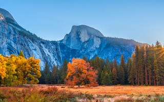 Картинка Йосемити, Калифорния, гора, осенние, Природа, Горы, Утес, скале, парк, Осень, Пейзаж, америка, США, скалы, калифорнии, Скала, Парки, штаты