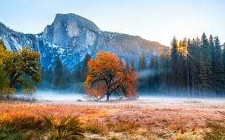 Картинка Йосемити, Калифорния, америка, Горы, калифорнии, Осень, штаты, парк, Туман, Пейзаж, осенние, гора, тумане, Природа, Парки, США, тумана