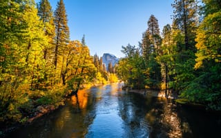 Картинка Йосемити, америка, гора, Реки, река, речка, парк, Парки, Деревья, США, Природа, деревьев, Осень, осенние, дерево, дерева, штаты, Горы