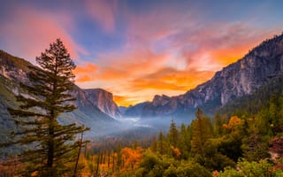 Картинка Йосемити, Калифорния, Осень, калифорнии, америка, осенние, парк, Парки, гора, Туман, США, Горы, Пейзаж, тумане, тумана, штаты, Природа
