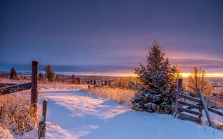 Картинка Норвегия, Valdres, забора, Природа, забором, Забор, Ель, снеге, снега, ограда, снегу, ели, Снег, Утро