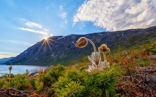 Картинка Норвегия, Innlandet, Горы, Природа, Прострел, облако, гора, облачно, Облака