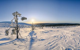 Картинка Финляндия, Панорама, снеге, панорамная, Природа, Пейзаж, Raattama, Утро, Снег, снегу, солнца, Солнце, снега