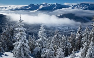 Картинка альп, Австрия, лес, снега, зимние, гора, Tyrol, Природа, тумане, Горы, тумана, Снег, Зима, Туман, Леса, снегу, Альпы, снеге