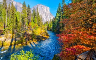 Картинка Йосемити, калифорнии, гора, Пейзаж, Горы, америка, Парки, Природа, Леса, штаты, осенние, речка, Калифорния, река, США, парк, Осень, Реки, лес