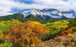 Картинка США, Colorado, Пейзаж, Осень, гора, штаты, Природа, Горы, осенние, лес, америка, Леса