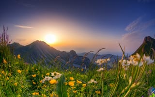 Картинка альп, Швейцария, гора, Утро, рассвет, закат, Рассветы, Горы, Альпы, Gantrisch, Природа, солнца, Солнце, закаты