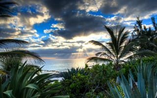 Картинка Bahamas, Море, пальма, Природа, облачно, Облака, облако, пальм, Пальмы