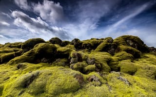 Картинка Исландия, Eldhraun, Горы, гора, Природа, мха, мхом, Камни, Мох, Камень