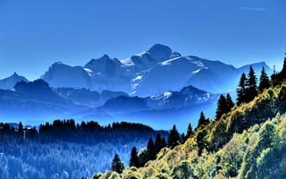 Картинка Альпы, Франция, Blanc, Haute-Savoie, Девушки, Горы, женщина, альп, молодые, девушка, молодая, Леса, Mont, Пейзаж, женщины, гора, лес