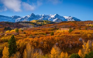 Картинка штаты, Colorado, осенние, гора, Осень, Природа, америка, Пейзаж, Леса, США, Горы, лес